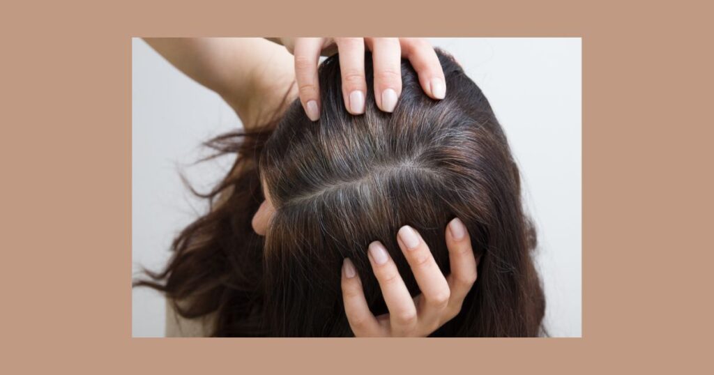 白髪隠し 塗り方